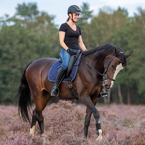 Een vrouw in een zwart T-shirt en blauwe spijkerbroek rijdt op een bruin paard. Ze draagt een helm en rijdt in een open veld met paarse heide op de voorgrond en bomen op de achtergrond.